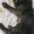 Gece