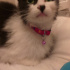 Mia
