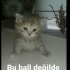 Duman