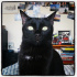 Zeytin