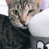 Mia