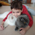 Duman