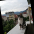 Paşa