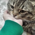 Duman