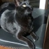 Zeytin