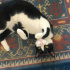 Zeytin