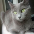 Duman