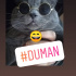 Duman