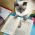 Pamuk