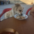Sezar
