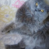 duman