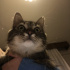 Mia