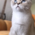 Balım