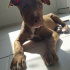 Loky