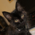Zeytin