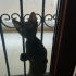 Zeytin