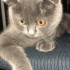 Hera