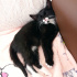 Zeytin