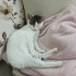 pamuk