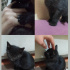 Zeytin
