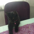 Zeytin