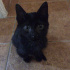 Zeytin