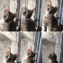 Şila