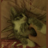 Duman