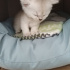 Miya