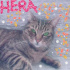 Hera