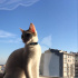 Bulut