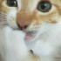 Miya