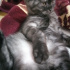 Duman