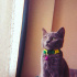Duman