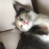 karamel