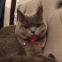 Mia
