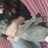 Duman