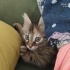 Mia