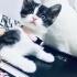 Mia