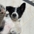 Walter