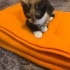 Mia