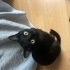 Zeytin