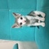 Mia