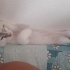 Bulut