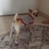 Ody