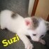 Suzi