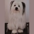 Snoopy