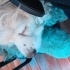 merve