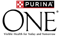 Purina One Köpek Maması