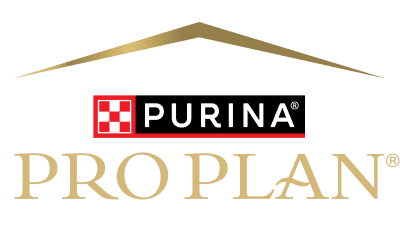 Pro Plan Kedi Maması